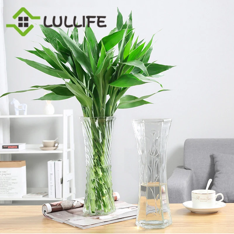 Гидропонное стекло большая Цветочная ваза зеленые растения квадратный