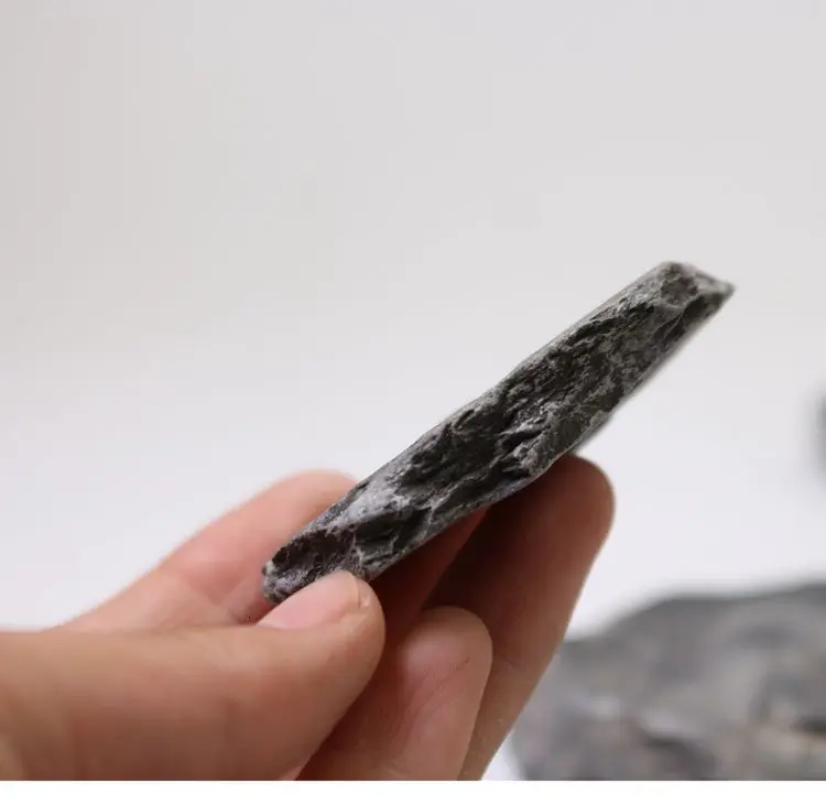 Палеоленус лантеноиси трилобиты окаменелые гуаньшань Биота Polular Science Fidelity Fossil