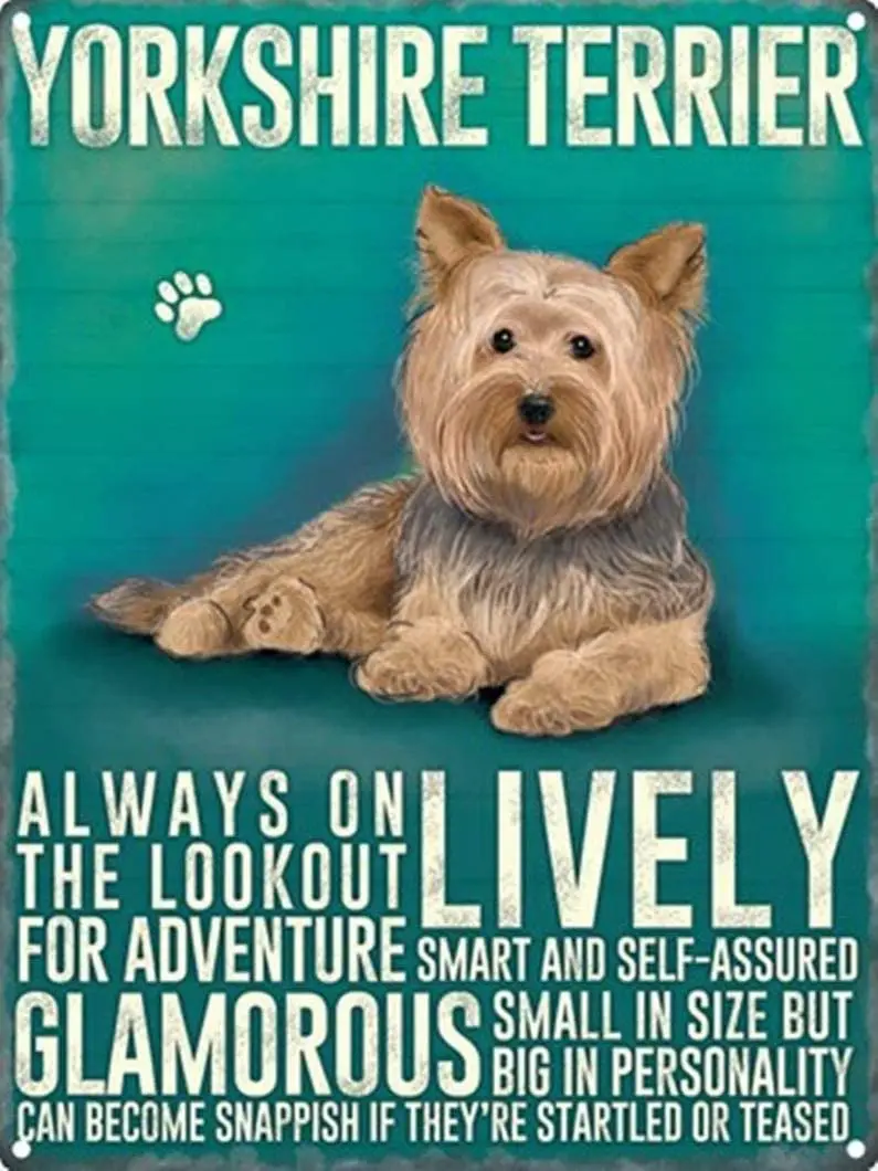 

AIDANDAN Yorkshire Terrier Old Design Tin Signs Vintage Metal Tin Signs for Wall Art Decor for Home Bars Clubs Cafes 20 X 30 cm