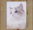 Милый плакат с котом Ragdoll, Художественная печать, жестяной знак, Декор 04