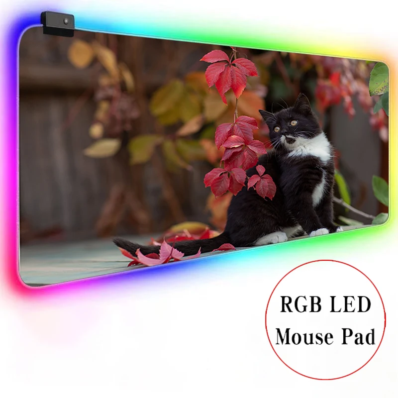 

Cute kitten 40x90cm DIY Gaming Large Anime Mousepad RGB Computer Mouse Pad Gamer Mause Pad LED Backlit Mat Keyboard Desk Mat