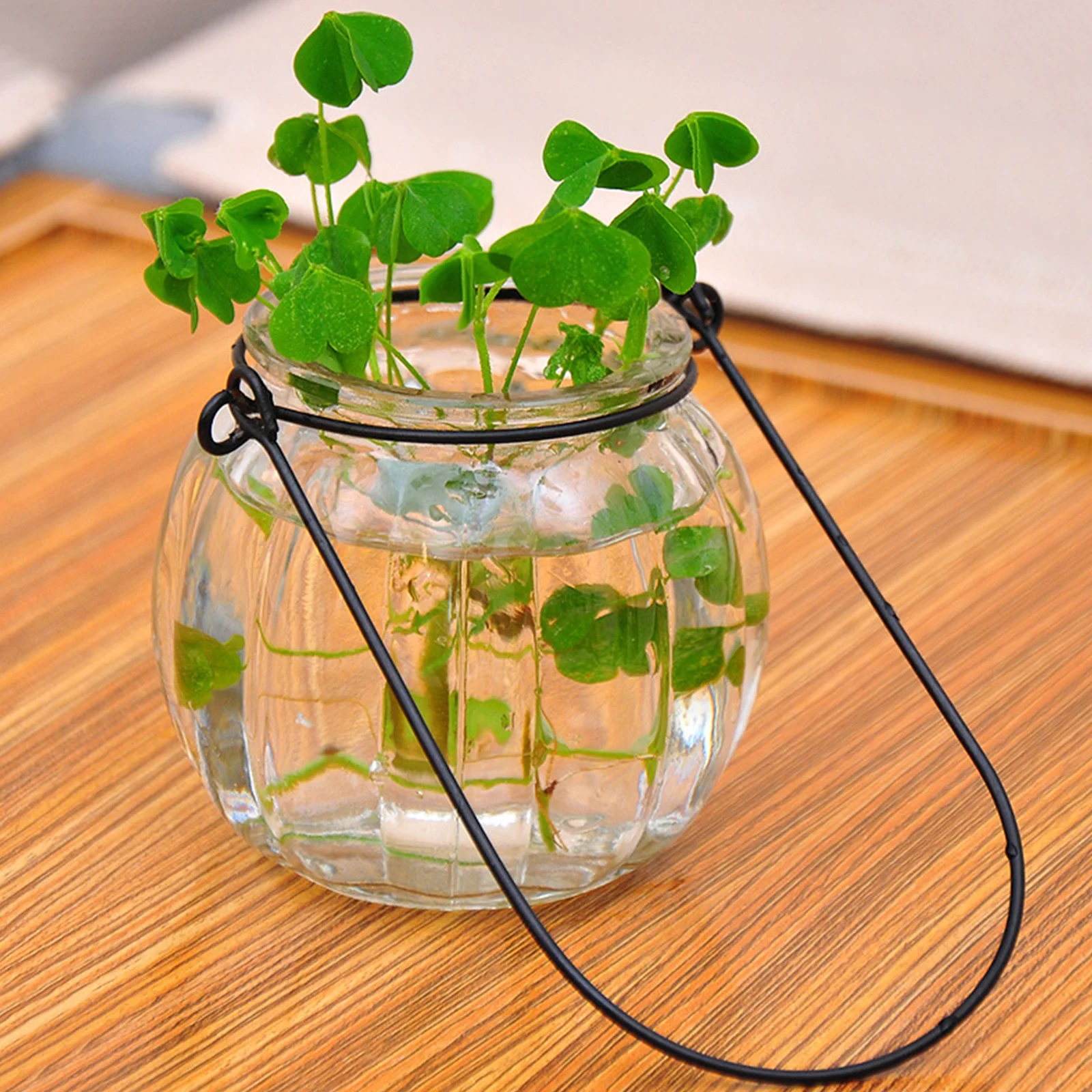 Стекло ящик для комнатных растений прозрачный тыквы Форма ваза гидропоники