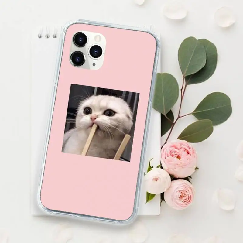 

Lovely animal cute cat Phone Case for iPhone 11 12 mini pro XS MAX 8 7 6 6S Plus X 5S SE 2020 XR Luxury brand shell funda