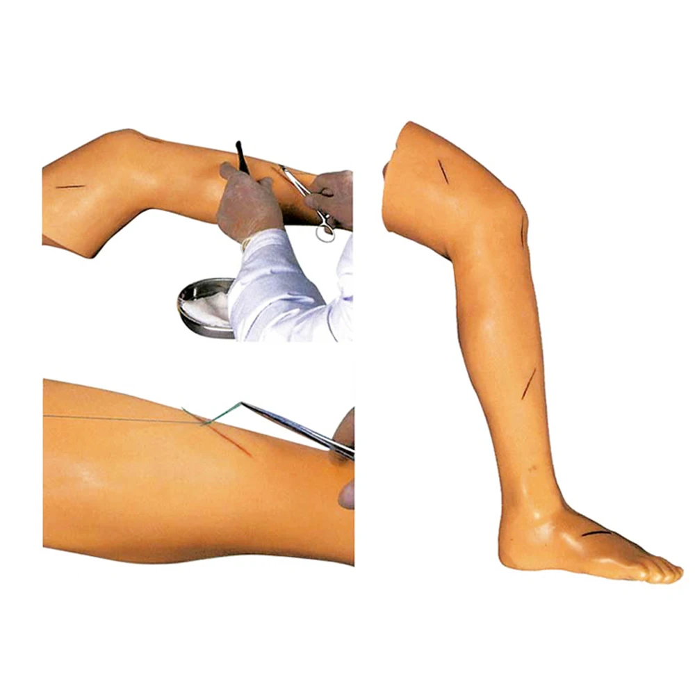 Усовершенствованная хирургическая модель для тренировки швов симулятор ног |