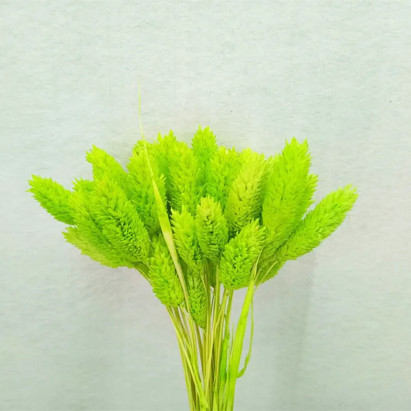 

20pcs40-55cmNatural Air-Dried Gemstone Grass Flower Arrangement Accessories DIY Shooting Props Living Room Bedroom Home Decor