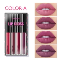 4pcs lip gloss gift sets matte long lasting lip glaze moisturizing waterproof non stick cup liquid lipsticks cosmetics kit tslm1