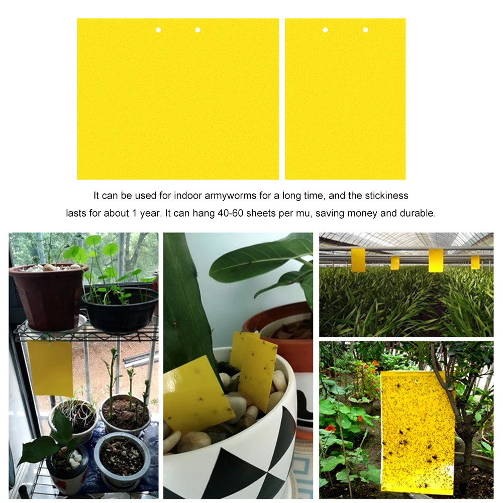 20 шт. наклейка-ловушка для насекомых | Дом и сад