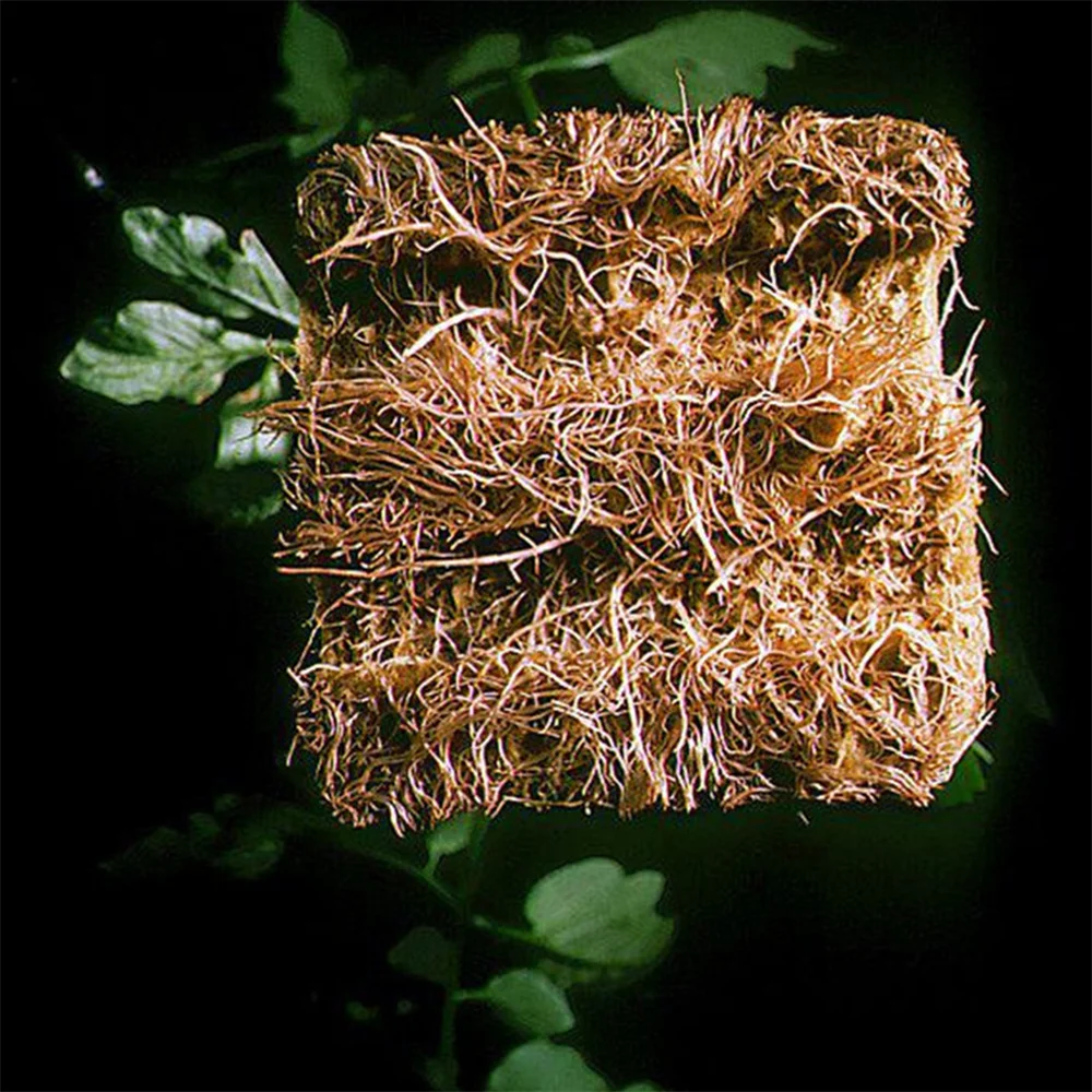 

26 Pcs/50pcs Breathable Vegetables Accessories Hydroponics Kit Rockwool Cubes Multifunctional Home Garden Diy Plant Cultivation