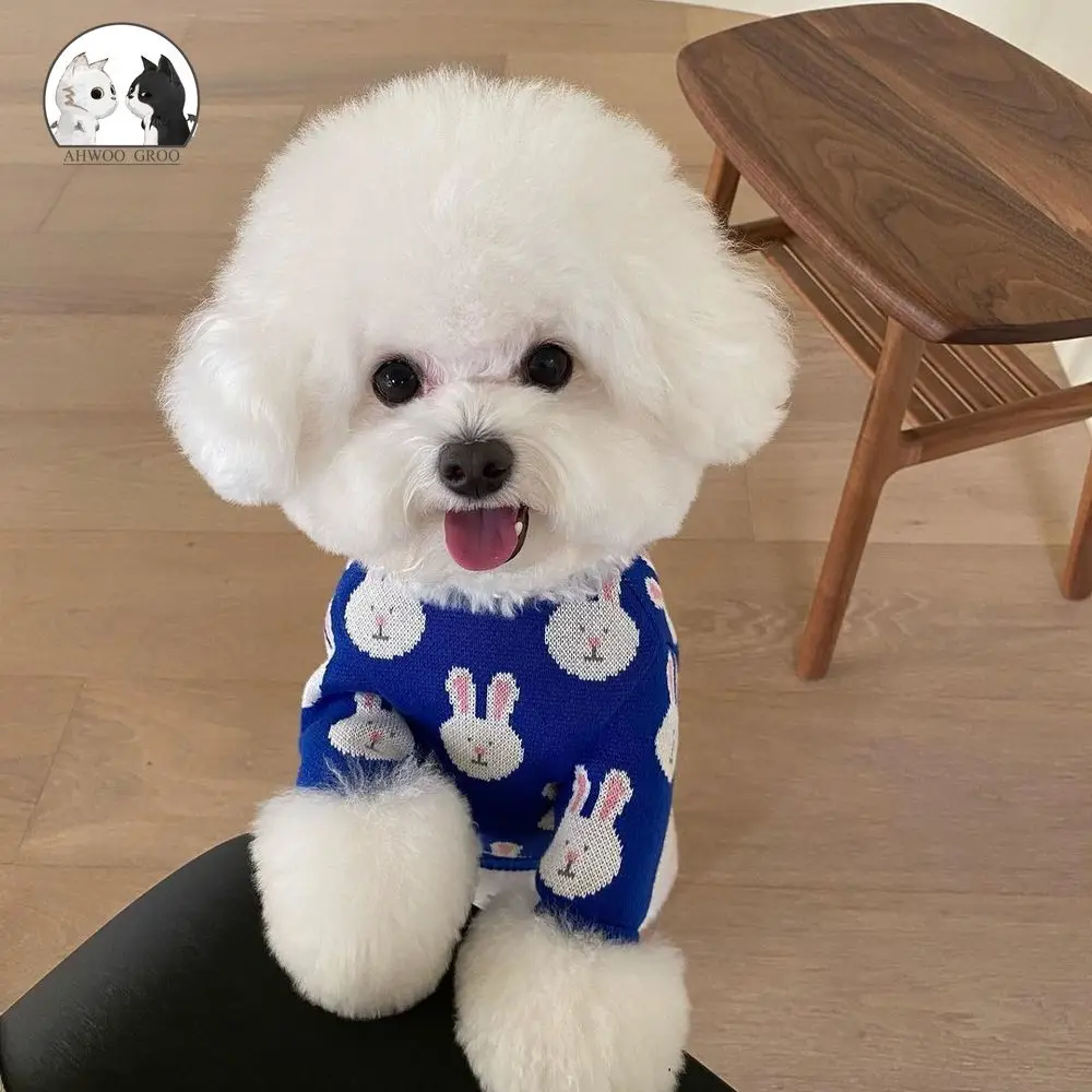 Милая Одежда для собак с принтом кролика сезон весна-осень теплый Трикотажный