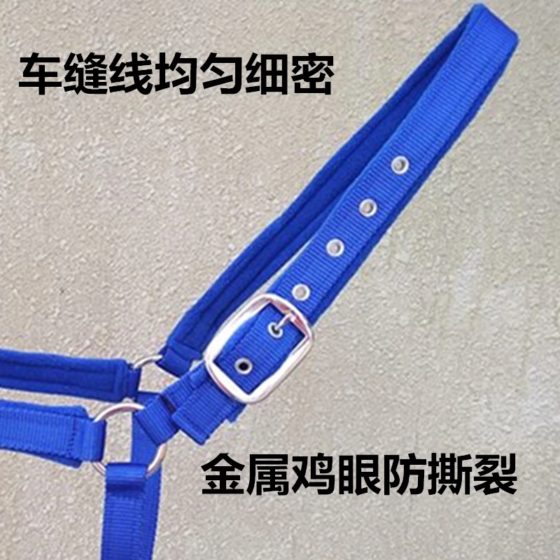 Синяя лямка для лошадей качественная красная оборудование лошадей|webbing tensioner|halter