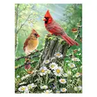 5D полный набор алмазных картин с изображением птиц, алмазные Стразы DIY, наборы картин для взрослых и детей