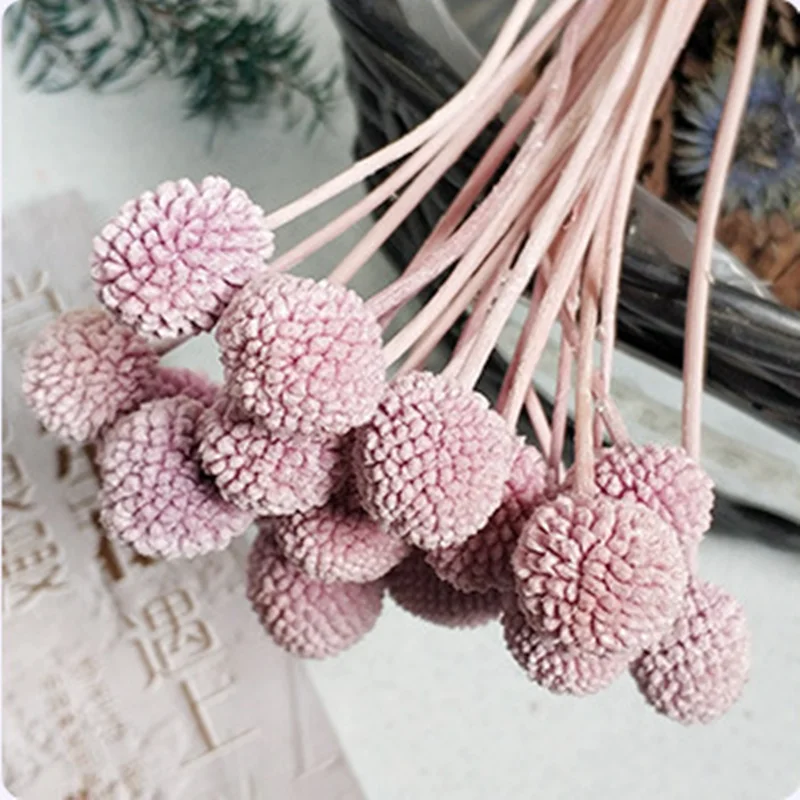 Light Purple MiHuaGe сушеные цветы Золотой шар для гостиной дома спальни украшения натуральные вечные цветы подарок на праздник вечерние принадлежности - Цвет: Light Purple