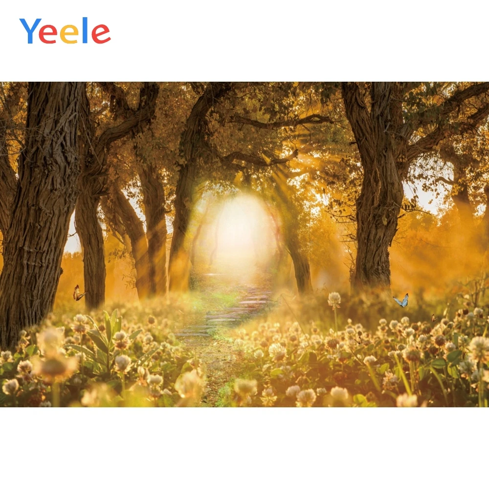 Yeele осенний пейзаж портрет лес листья пол фотографии фоны персонализированные