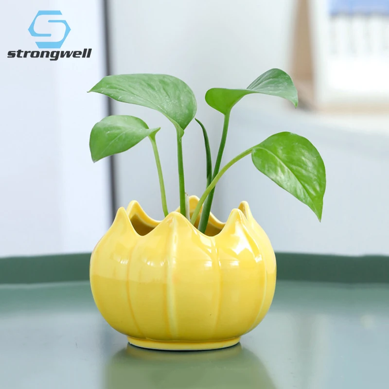 

Strongwell Creative Garden Potted Home Office Decoration Succulent Plants Flower Pots Hydroponics Living Room Decoration Pots
