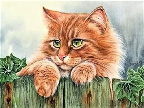 

DIY 40X50 картина маслом по номерам Милая кошка краска по номерам на холсте домашний декор цифровая краска на Рождество