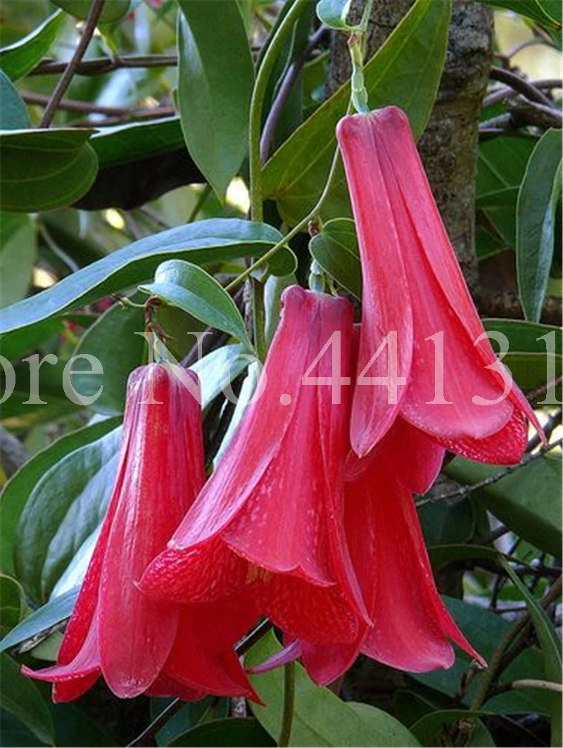 100 шт искусственный цветок |