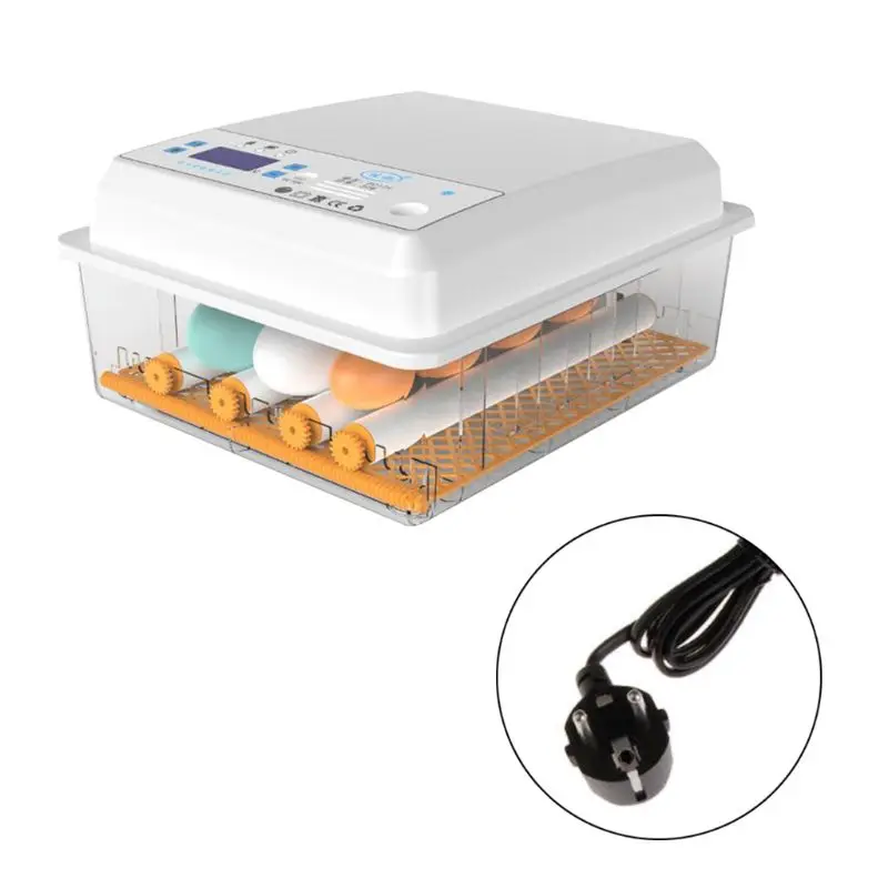 220 В инкубатор яиц Брудер птицы перепелиный цыпленок Тернер|Принадлежности для
