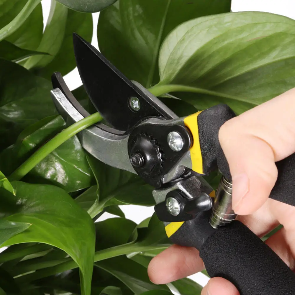 

8Inch Professional High-quality Titanium Pruning Shears Pruning Shears Hand Gardening Plant Scissor Branch Pruner Tools