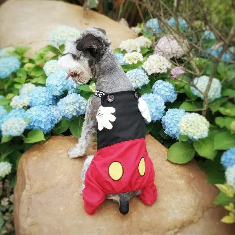 Одежда для собак Комбинезоны маленьких комбинезон чихуахуа французского