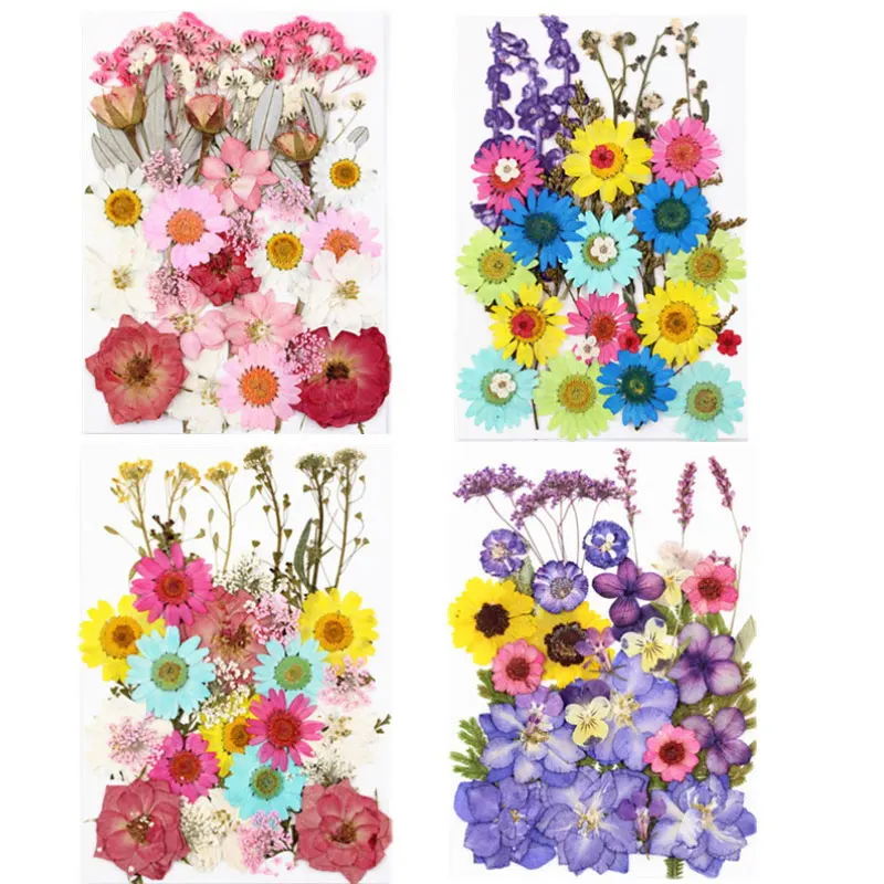 Натуральные сушеные цветы коллекция композиций для Украшения Стеклянных