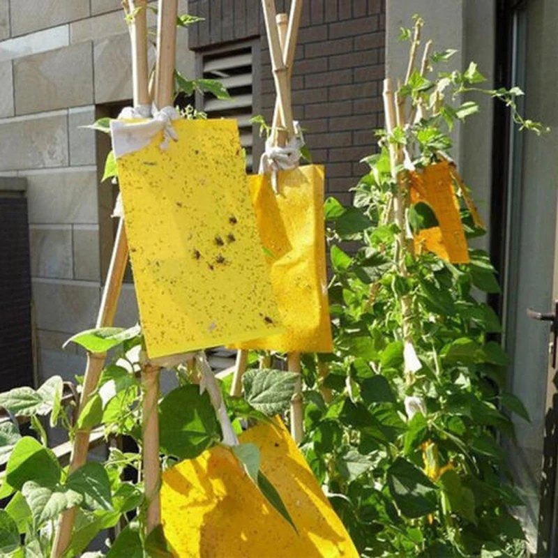 5 шт. ловушка для насекомых 25*20 см|Ловушки| |