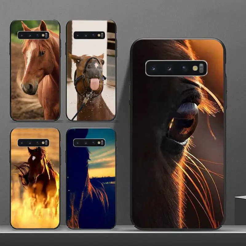 

Frederik The Great beauty horse Phone Case For Samsung galaxy S 8 9 10 20 21 30 A 30 50 51 70 note 10 plus Ultra 5g