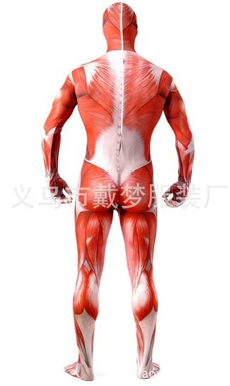 

(D1-003)Unisex Lycra Spandex Attack On Titan Full Body Lycra Zentai Suits Halloween Costume