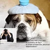 Изображение товара 1