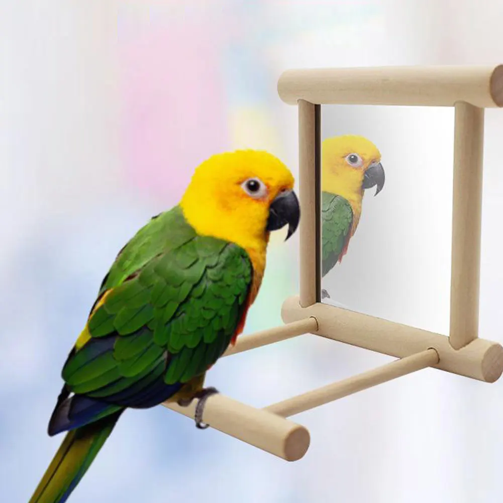 

Bird Mirror With Parrot Bird Parakeet Hanging Mirror Parrot Bell Stand Bird Toy For Parrot Parakeets Cockatiels Cage Decoration