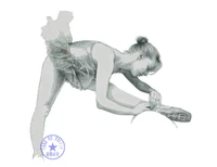higher cotton free shipping high quality 14ct cross stitch kit ballerina ballet girl