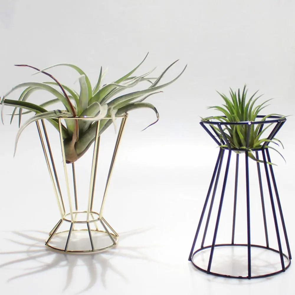 

2Pcs Air Plant Holder Home Iron Art Plant Stand Creative Plant Display Rack