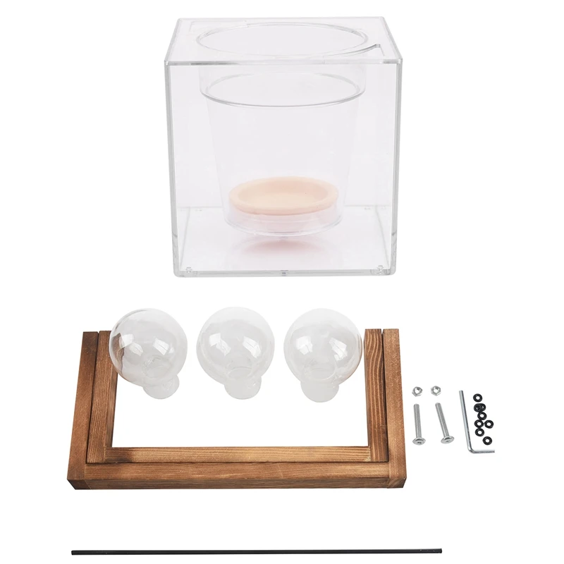 

5Inch Transparent Self Watering Pot Deck Planter & Plant Terrarium with Wooden Stand Glass Vase Holder (3 Terrariums)