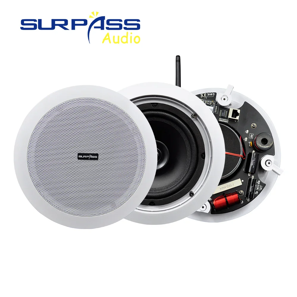 Активный и пассивный динамик с поддержкой Wi-Fi сабвуфер коаксиальный проводной