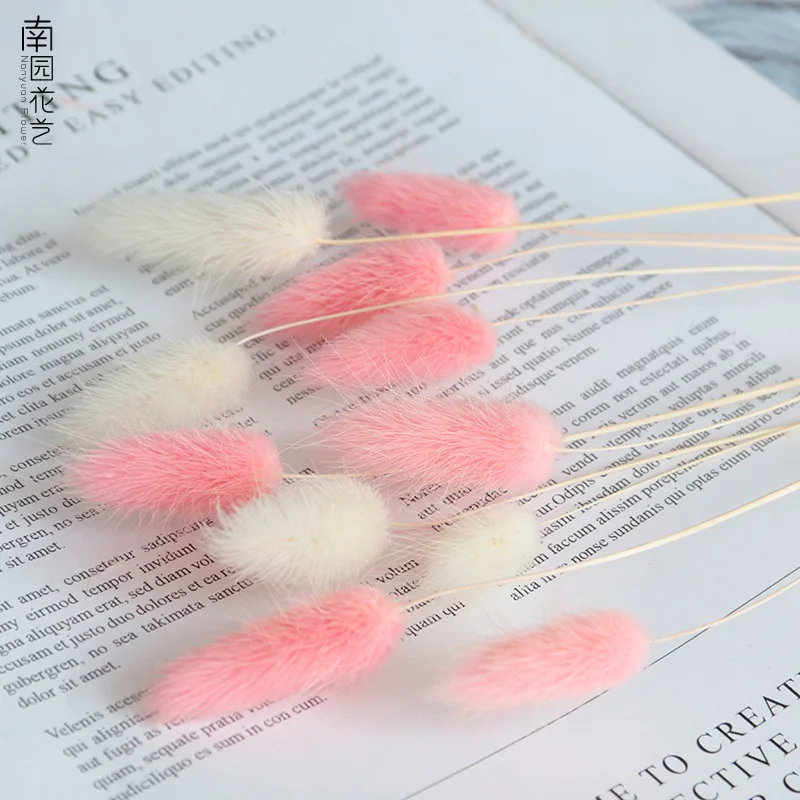 

20/40/60PCS Rabbit Tail Grass Dried Flowers Natural Lagurus Ovatus Pampas Grass Home Decoration Bouquet For Wedding Decor Gift