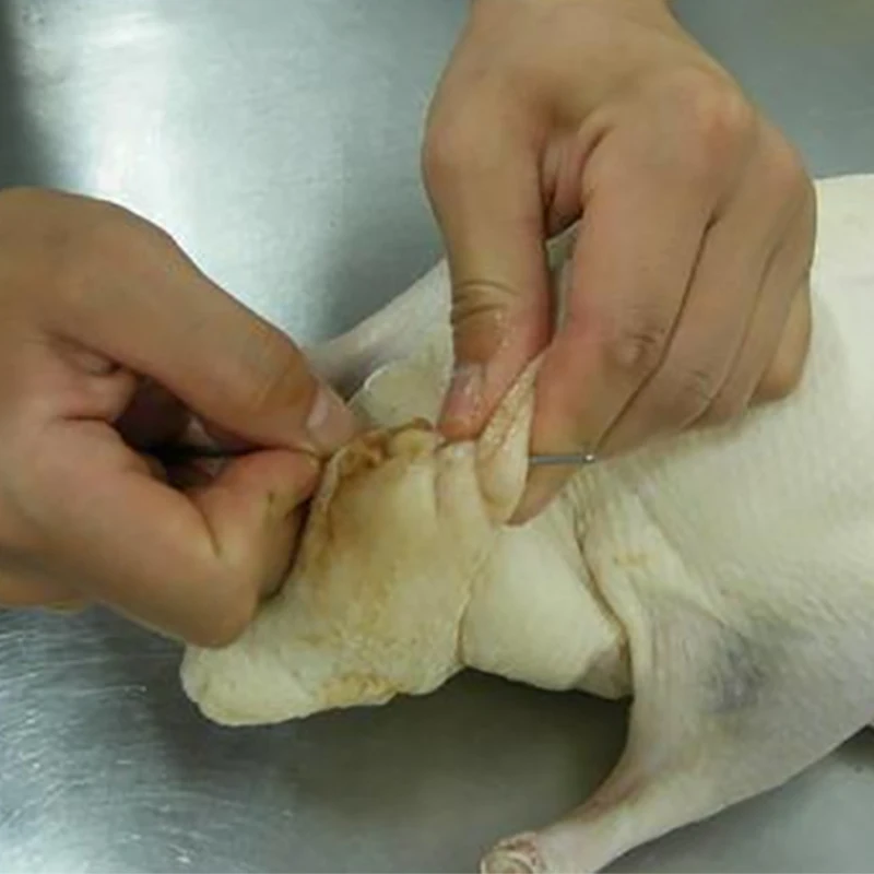 12 шт Шпажки для барбекю игольчатая вилка посуды железная кухонная утварь