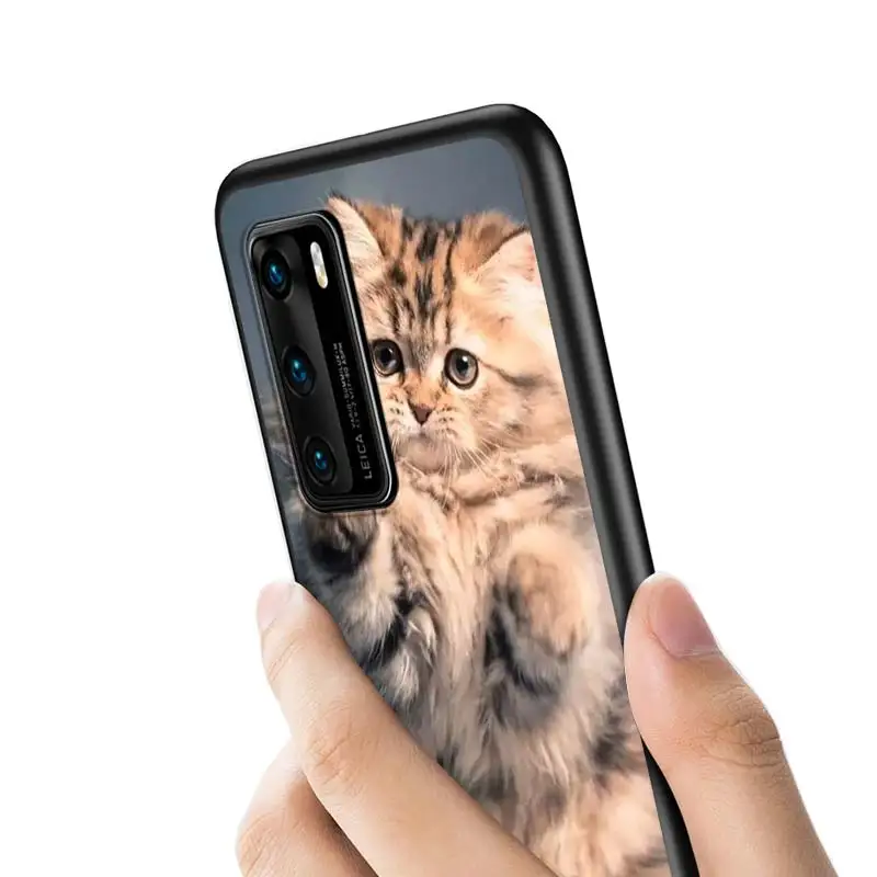 

Hot Funny Kitten Cat Style for Huawei P40 P30 P20 Pro P10 P9 P8 Lite E Pro P Smart Z Plus 2020 2019 Phone Case
