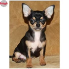 Новинка, бриллиантовая мозаика, 5d икона, чихуахуа, собаки, алмазная вышивка, щенок, домашний питомец, вышивка крестиком, полностью алмазная живопись, украшение