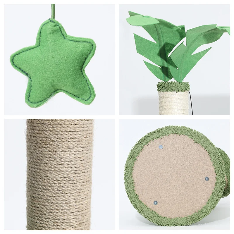 

Pet Products