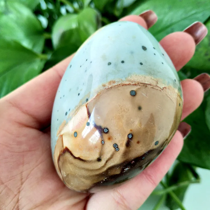 

Natural stone Marine palm healing crystals Decorative collection stones and crystals