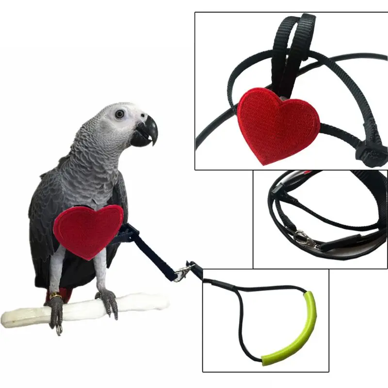 

Веревка для тренировок, с защитой от укусов, для попугаев, птиц, Сверхлегкий поводок, мягкие портативные игрушки для домашних животных
