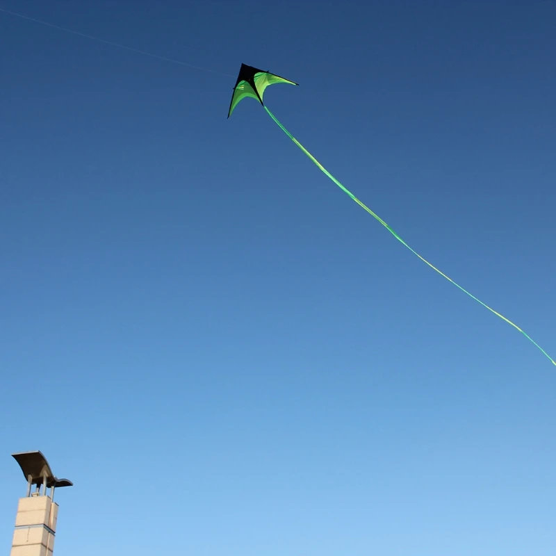 

P15C Colorful Life Delta Kite for Kids Adults Outdoor Sports Entertainment Family Holiday Parent-child Activities Supply