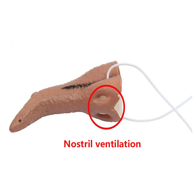 Веселая обувь для хеллоуина длинный нос ведьмы вечерние Наряжаться Косплэй
