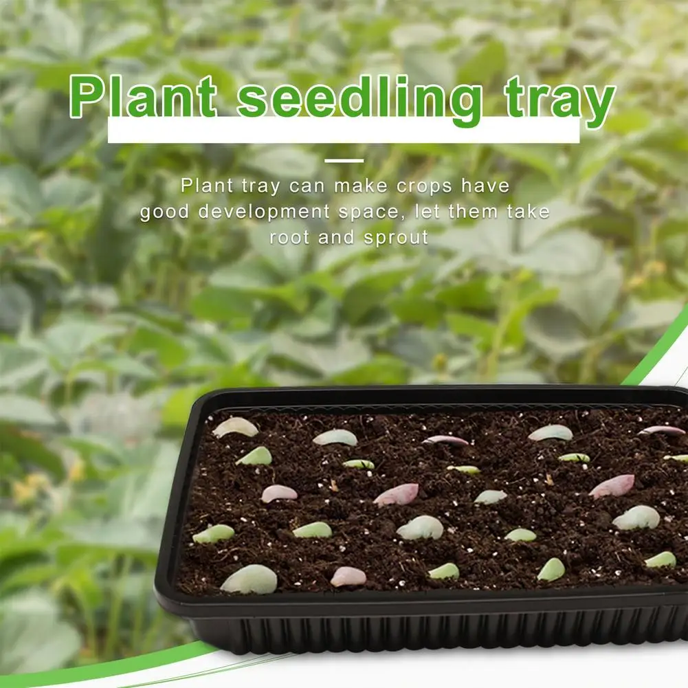 

10Pcs Seed Starter Trays Nursery Pots Plant Seedling Tray Plant Germination Tray Garden Decor Accessories