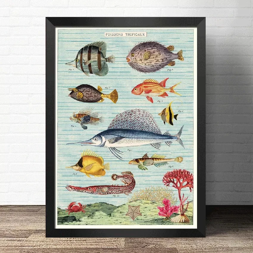 

Popular science decorative painting early education world- Insect vegetables fish -Atlas art painting Retro poster kraft paper