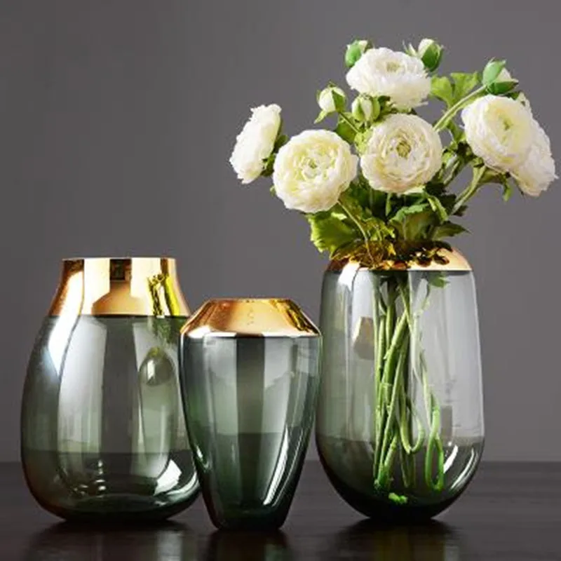 

Nordic modern transparent hydroponic gold rim glass vase decoration, creative office table decoration