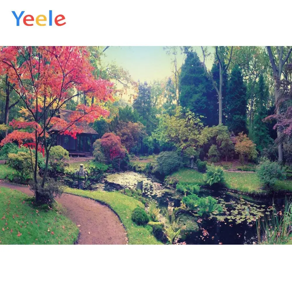 Yeele сад Цветы парк зеленение портрет Вечерние Декорации фотографический фон для