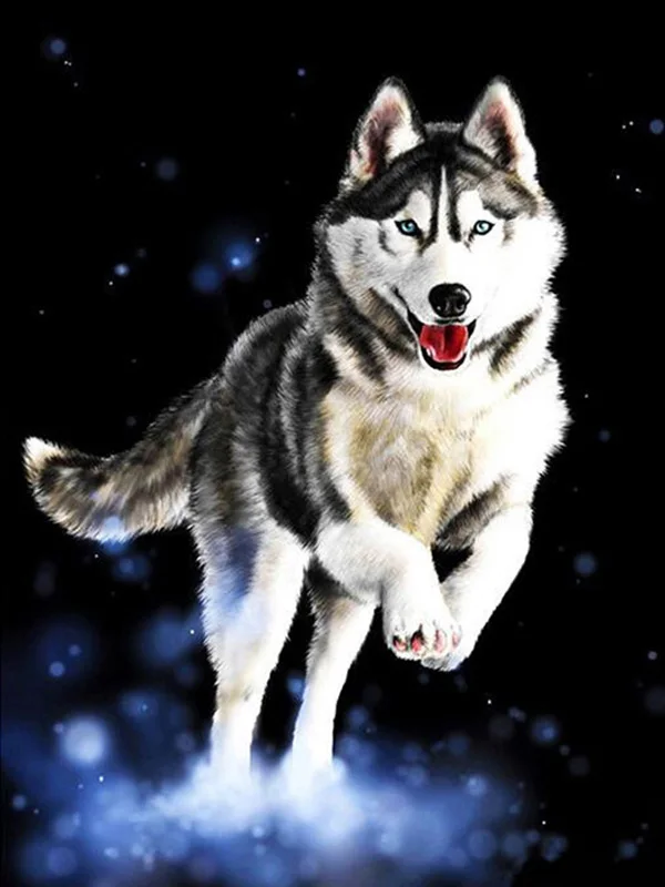 5 5d Животные Собака серия Diy Алмазная картина Huskies Алмазная вышивка Собаки Полный Круглый Diy Алмазная мозаика наклейки на стену рукоделие - Цвет: 5
