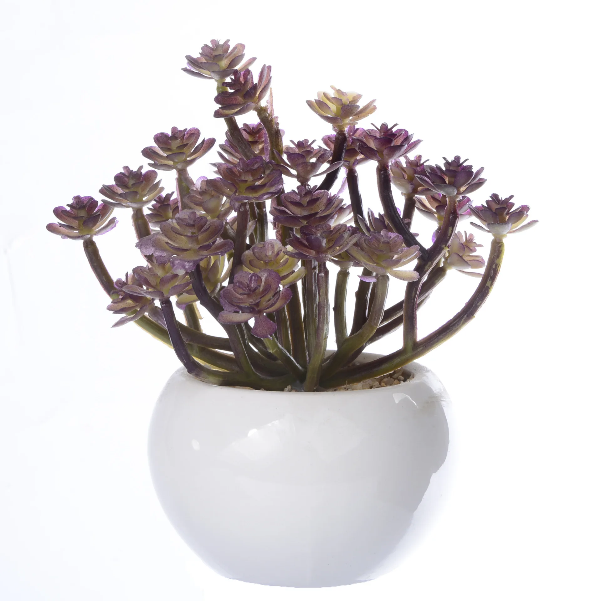 Искусственные суккуленты растения бонсай искусственные с белым керамическим