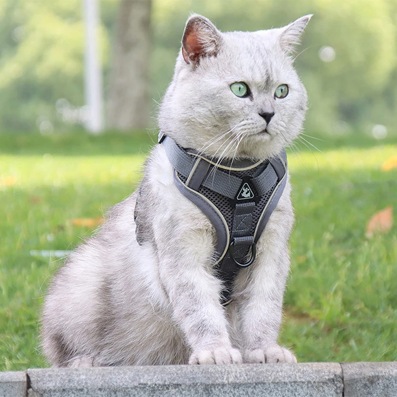 

Светоотражающая шлейка и поводок для собак и кошек, Воздухопроницаемый жилет для щенков, маленьких и средних питомцев, аксессуары для прогу...