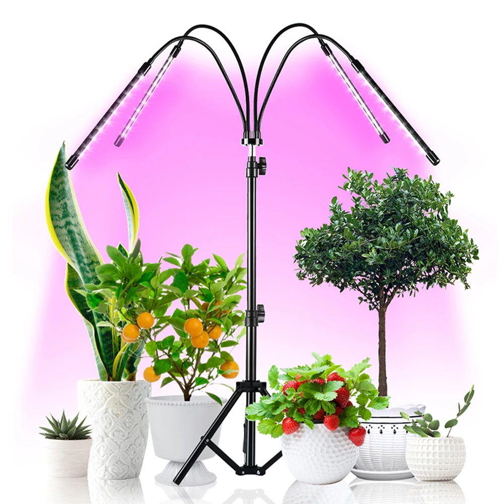 

Фитоламсветильник со штативом и таймером, лампа для выращивания растений 3/6/12H, комнатные саженцы, тент для выращивания цветов в коробке